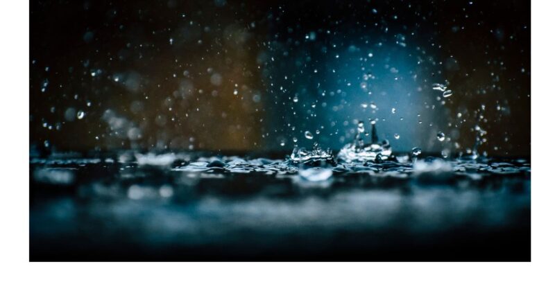 雨のしずく