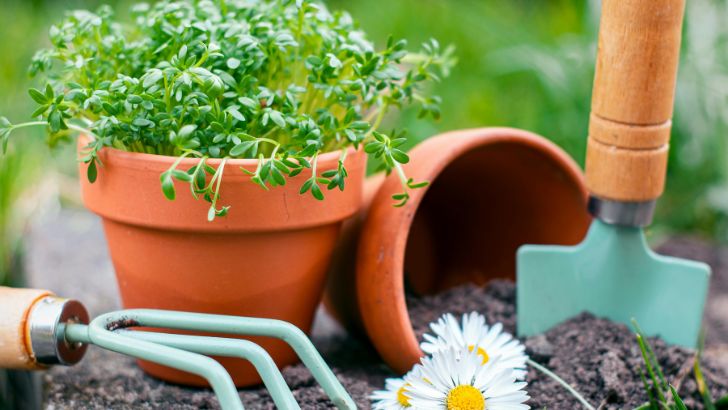 植木鉢と土とスコップ